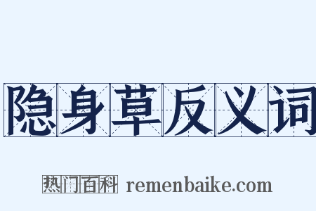 隐身草反义词是什么意思的图片
